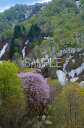 山形 朝日村 大鳥池への登山道より 4切W 風景写真 4W-57