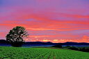 風景写真ポスター 北海道 美瑛の夕焼け 壁飾り 壁掛け インテリアアート おしゃれ モダン 癒やし osp-90