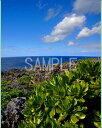 沖縄 南大東島の海 4切 風景写真 4-229