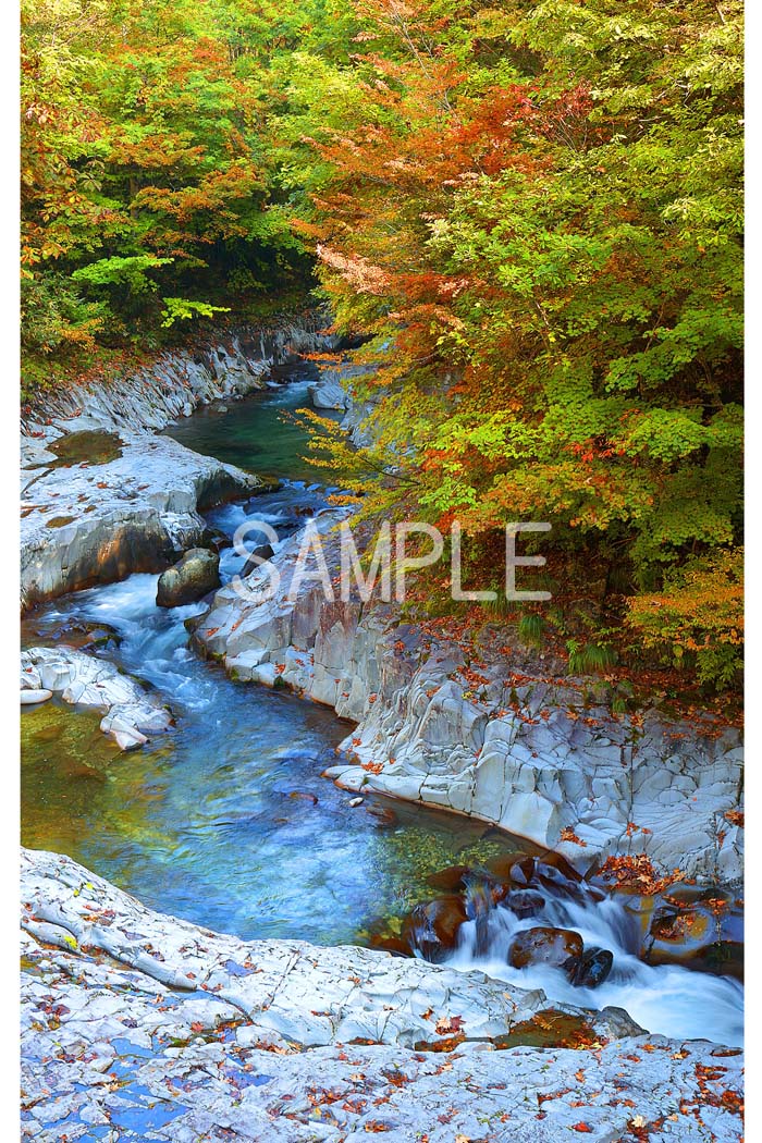 風景写真ポスター 福島県 裏磐梯高原 中津川渓谷 インテリア 壁掛け 壁飾り 模様替え 雰囲気作り リビング ダイニング オフィス 玄関 osp-5