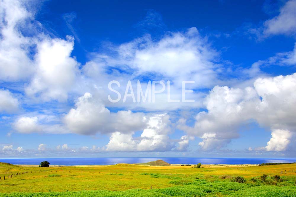 世界遺産 イースター島 雲と海と草原 4切W 風景写真 4W-167