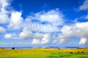 世界遺産イースター島　雲と海と草原　6切W写真【RCP】 6w-167 その1