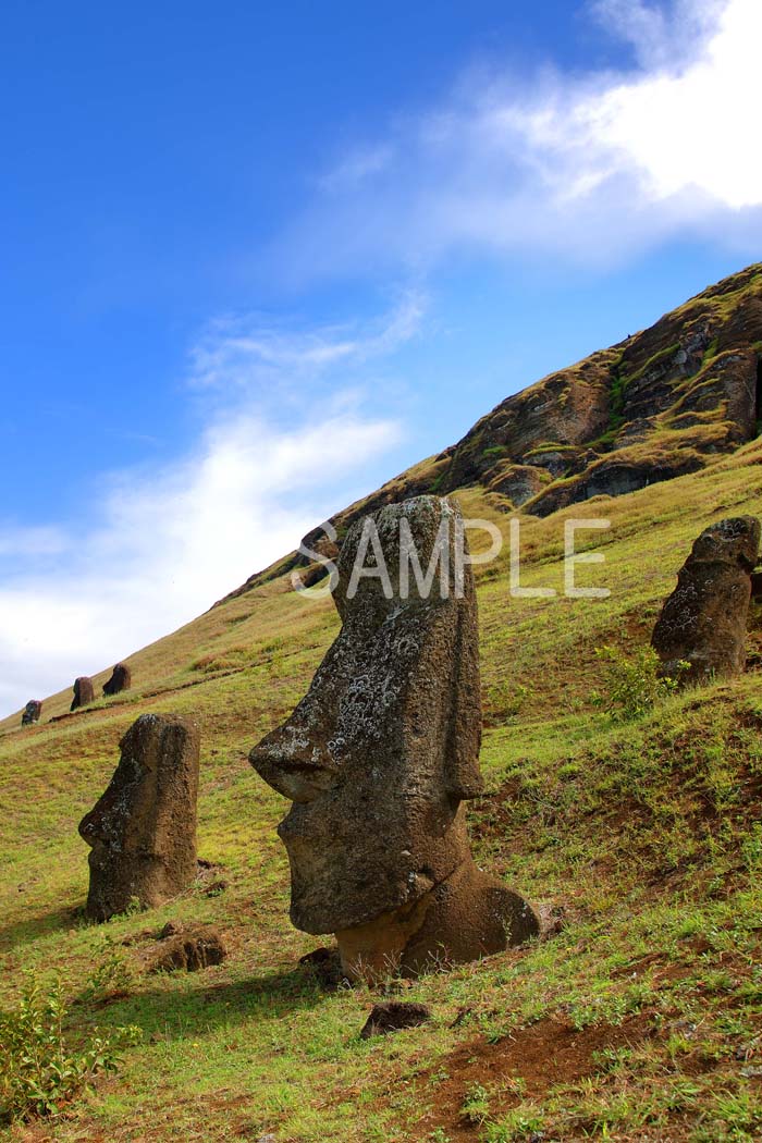 風景写真ポスター 世界遺産 イースター島 ラノ・ララクのモアイ 01 インテリア ウォールデコ グラフィック 模様替え 雰囲気作り オフィス リビング ダイニング psmoai-3