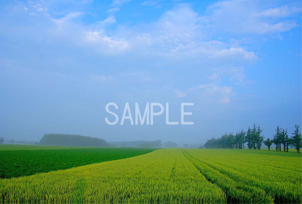 北海道 小清水 4切W 風景写真 4W-68