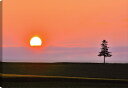 風景写真パネル 北海道 美瑛 夕日の木 側面画像あり アートパネル インテリア パネル 写真 景色 壁飾り 壁掛け 額要らず 模様替え 雰囲気作り 玄関 リビン...
