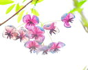 風景写真パネル 茨城 つくば アケビの花 インテリア アートパネル ウォールデコ パネル 写真 壁飾り 壁掛け 額要らず 模様替え 雰囲気作り 旅の思い出 風水...