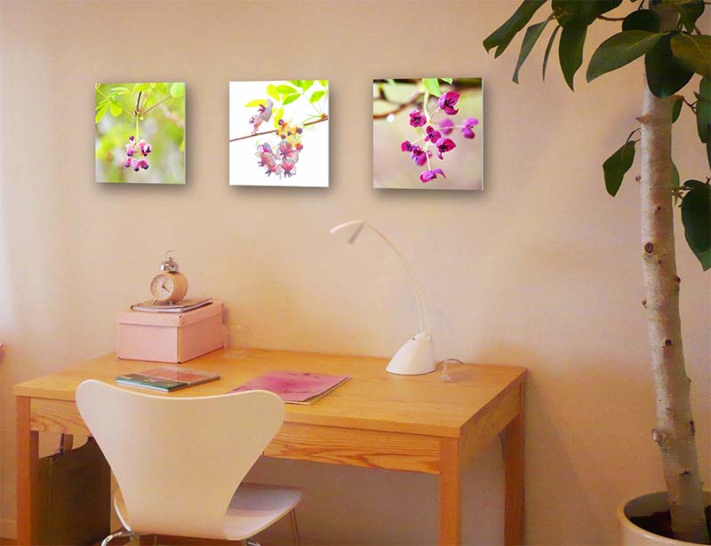 風景写真パネル あけびの花 IBA-a01-S3 インテリア アート 写真 風景 絵画 壁掛け 壁飾り タペストリー 雰囲気作り 模様替え リビング オフィス 玄関