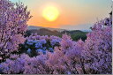 風景写真パネル 福島 平田 花木畑の夕日 桜 ボタニカル インテリア グラフィック アート ウォールデコ 癒やし オシャレ モダン ギフト プレゼント お祝い ...