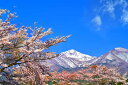 風景写真パネル 福島 猪苗代 川桁地区 桜 13 側面画像あり インテリア パネル 写真 さくら 春 景色 プレゼント ギフト お祝い 結婚 新築 誕生日 記念...