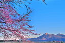 風景写真パネル 福島 猪苗代 川桁 桜と磐梯山 ボタニカル グラフィック アート インテリア ウォールデコ インテリア パネル 写真 さくら 山 春 景色 癒やし オシャレ モダン FUK-KKS-M25