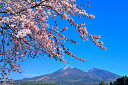 風景写真パネル 福島 猪苗代町 川桁 桜 02 インテリア パネル 写真 さくら 春 景色 プレゼント ギフト お祝い 結婚 新築 誕生日 記念日 年祝い FUK-KKNGSS-02-M20