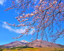 風景写真パネル 福島 猪苗代 磐梯山と桜 02 インテリア パネル 写真 春 山 花 景色 壁掛け 壁飾り 模様替え 雰囲気作り 癒やし オシャレ リビング ダ...