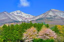 風景写真パネル 福島 猪苗代 吾妻中近くの桜と磐梯山 インテリア 壁掛け 壁飾り 模様替え 雰囲気作り 癒やし オシャレ リビング ダイニング オフィス 玄関 FUK-BDSS-03-M25
