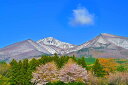 風景写真パネル 福島 磐梯山と2本の桜 01 側面画像あり インテリア アートパネル パネル ディスプレイ ウォールデコ 写真 壁掛け 壁飾り 模様替え 雰囲気...
