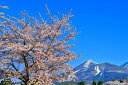 風景写真パネル 福島 猪苗代町運動公園の桜と磐梯山 08 ボタニカル グラフィック アート インテリア ウォールデコ 癒やし オシャレ モダン FUK-INSP-08-M25