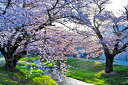 風景写真パネル 福島 猪苗代町 川桁 観音寺川 桜と朝日 28 インテリア パネル 写真 さくら 川 春 景色 プレゼント ギフト お祝い 結婚 新築 誕生日 記念日 年祝い FUK-KNJ-28-M25