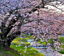 風景写真パネル 福島 猪苗代町 川桁 観音寺川 桜と朝日 21 インテリア パネル 写真 さくら 川 春 景色 ボタニカル 壁掛け 壁飾り 模様替え 雰囲気作り リビング ダイニング オフィス 玄関 プレゼント ギフト 贈答品 お祝い 結婚 新築 引っ越し 誕生日 記念日 FUK-KNJ-21-F25