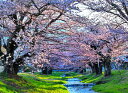 風景写真パネル 福島 猪苗代町 川桁 観音寺川 桜 14 インテリア パネル 写真 さくら 春 景色 プレゼント ギフト お祝い 結婚 新築 誕生日 母の日 父...