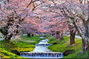 風景写真パネル 福島 猪苗代町 川桁 観音寺川 桜 10 側面画像あり インテリア パネル 写真 さくら 春 景色 壁掛け 壁飾り 模様替え 雰囲気作り リビング ダイニング オフィス 玄関 FUK-KNJ-10-M25skm