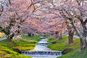 風景写真パネル 福島 猪苗代町 川桁 観音寺川 桜と朝日 11 インテリア パネル 写真 さくら 春 景色 プレゼント ギフト お祝い 結婚 新築 誕生日 記念...