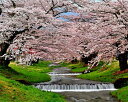 風景写真パネル 福島 猪苗代町 川桁 観音寺川 桜と朝日 21 インテリア パネル 写真 さくら 春 景色 壁掛け 壁飾り 模様替え 雰囲気作り 風水 リビング...