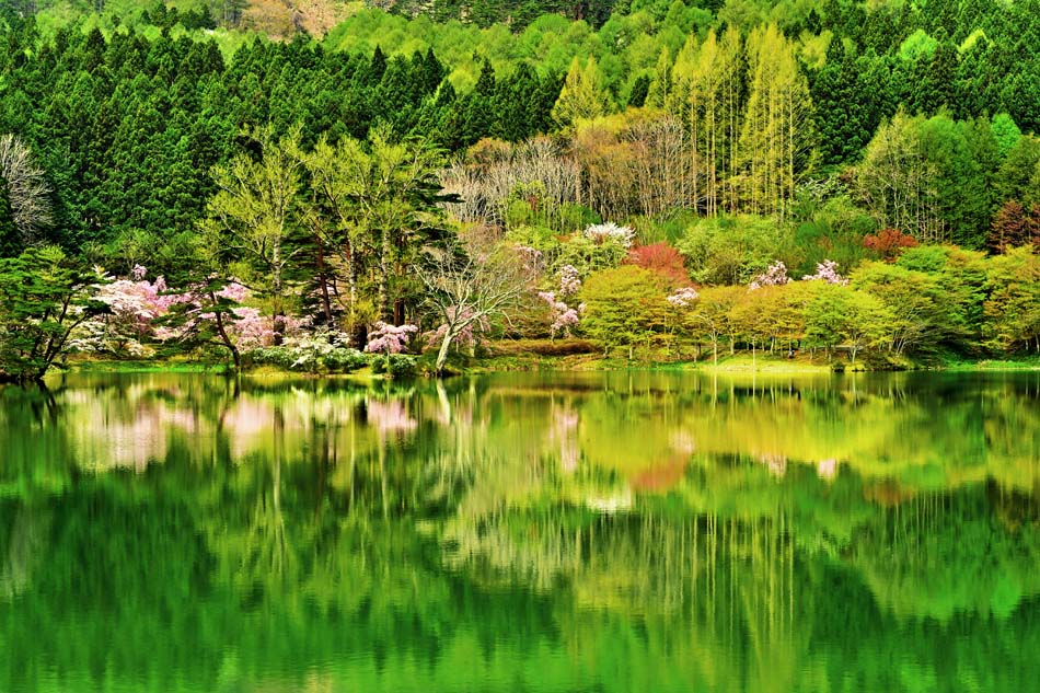 風景写真ポスター 福島 ハートレイク 半田沼 インテリア ポスター 写真 桜 春 景色 自然 プレゼント ギフト お祝い 結婚 新築 誕生日 入学 卒業 成人式...
