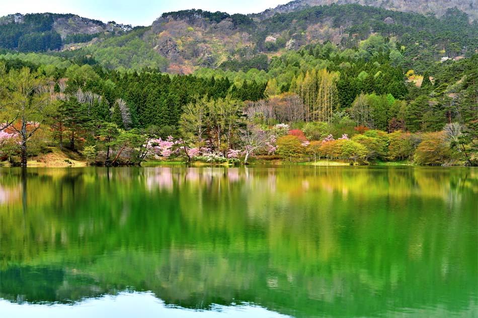 風景写真ポスター 福島 ハートレイク 半田沼 インテリア ポスター 写真 桜 春 景色 自然 壁掛け 壁飾り 模様替え 雰囲気作り リビング ダイニング オフィス 玄関 PSHANA-O02