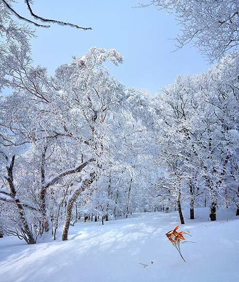 楽天写真パネルのあぁとすぺーすつくば風景写真パネル 福島 箕輪山 1 アートパネル インテリア 壁飾り 壁掛け 額要らず 模様替え 雰囲気作り 玄関 リビング オフィス ロビー プレゼント ギフト 贈答品 返礼 お祝い 結婚 新築 引っ越し 誕生日 記念日 年祝い 旅の思い出 HYO-01-F25