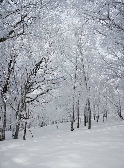 風景写真パネル 福島 箕輪山 05 インテリア 額要らず 壁掛け 壁飾り 模様替え 雰囲気作り プレゼント ギフト 贈答品 返礼 お祝い 結婚 新築 引っ越し ...