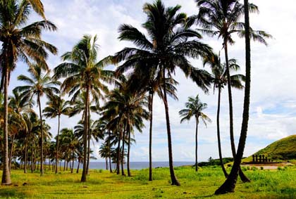 楽天写真パネルのあぁとすぺーすつくば風景写真パネル 世界遺産 イースター島 アフ・ナウナウ 椰子とモアイ アートパネル インテリア パネル 写真 ウォールデコ グラフィック ディスプレイ プレゼント ギフト お祝い 結婚 出産 誕生日 入学 卒業 成人 就職 記念日 母の日 父の日 MOAI-004-B1