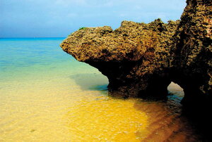 写真パネルのあぁとすぺーすつくば 通販セール