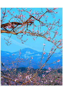 写真パネルのあぁとすぺーすつくば 通販