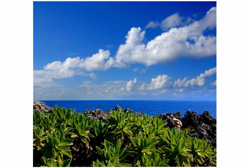 ポストカード 沖縄 北大東島の海 02 PSC-37 風景 写真 プレゼント お礼 旅の思い出 お便り グリーティング カード 絵はがき 絵葉書 クリスマスカード 暑中見舞い 寒中見舞い 年賀状 礼状 挨拶状