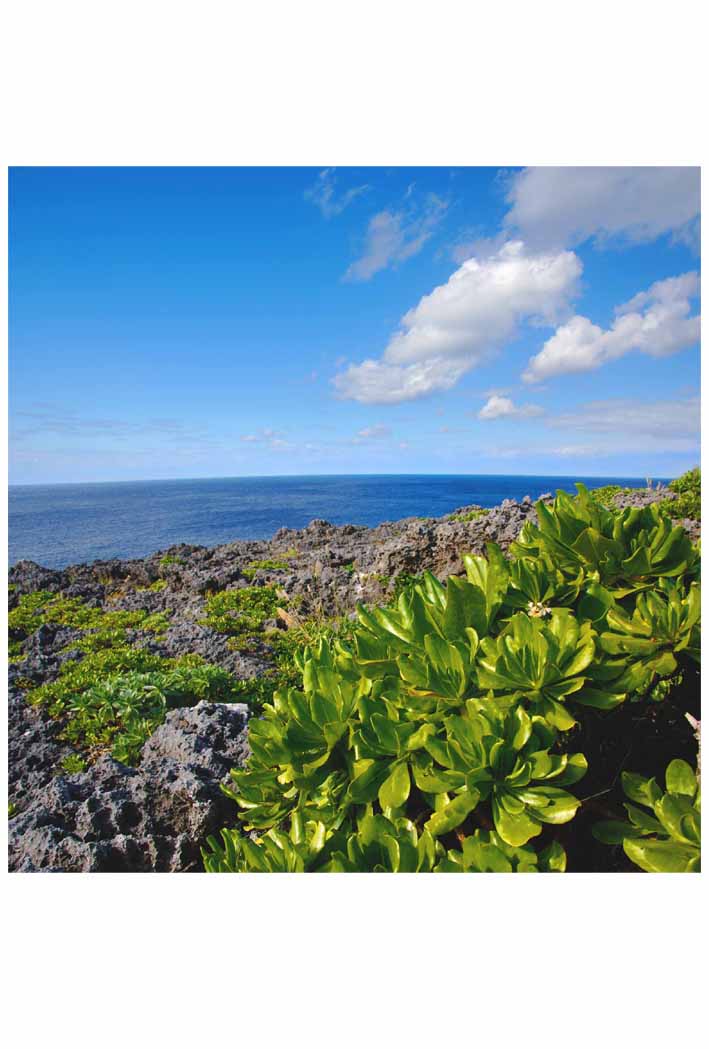 ポストカード 南大東島の海 06 沖縄 PSC-79 風景写真 絵はがき 絵葉書 クリスマスカード 暑中見舞い 寒中見舞い グリーティングカード 年賀ハガキ 年賀状などにどうぞ。
