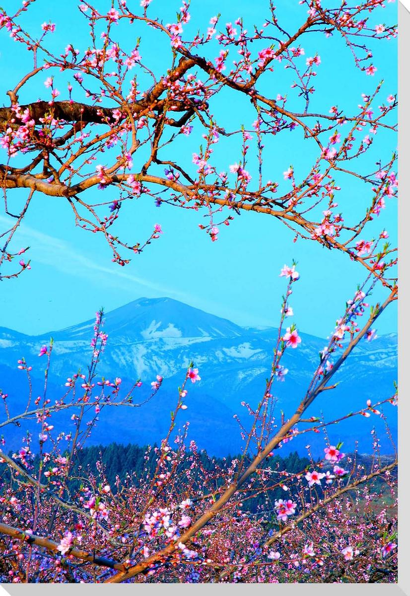 桃と吾妻の雪うさぎ 福島 風景写真パネルクロス地 壁飾りやインテリアに美しい風景写真パネルを。インテリア ディスプレイ 模様替え タペストリー 風景ポスターに最適。新築祝い 引っ越し祝いプレゼントなどにも。