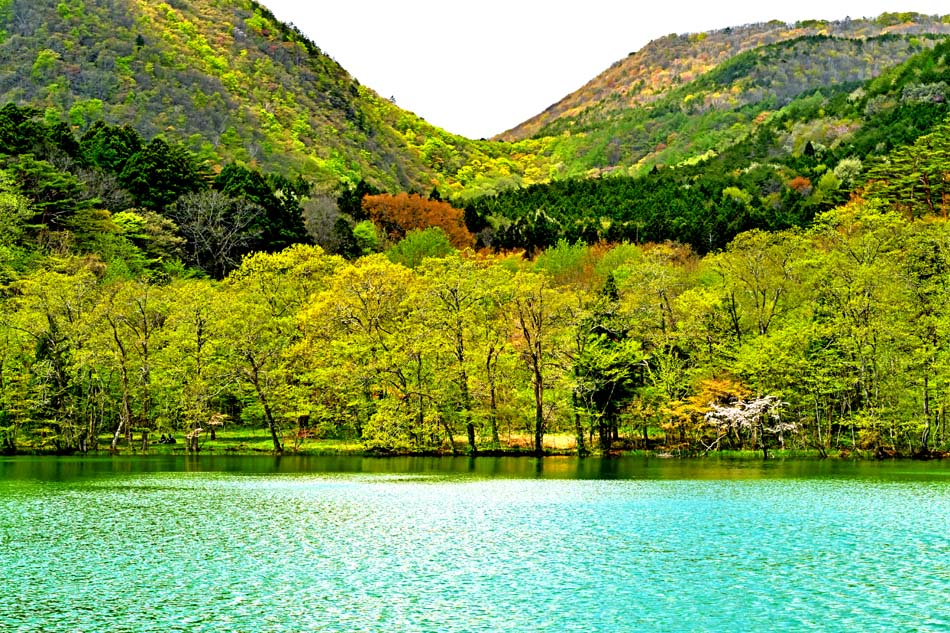 風景写真パネル 福島 土湯 男沼 新緑 インテリア アートパネル 写真 景色 自然 パネル プレゼント ギフト お祝い 結婚祝い 新築祝い 引っ越し祝い 誕生日...