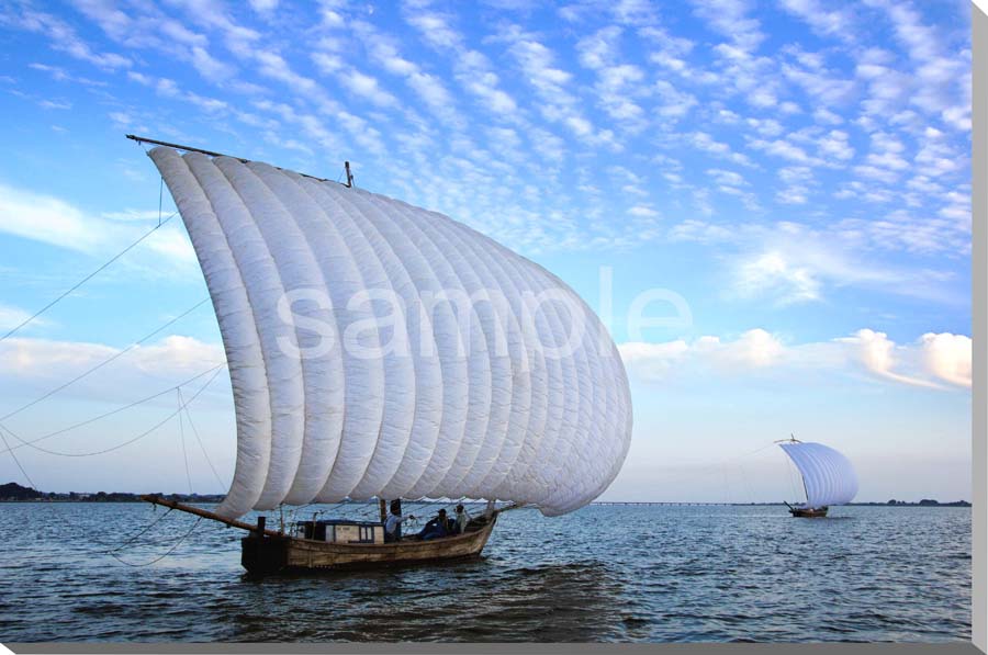 ポストカード 茨城 霞ケ浦 白い雲と