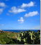風景写真パネル 沖縄 北大東島の海 青空 白い雲 マリンブルー アートパネル グラフィック インテリア 額要らず 模様替え 雰囲気作り 癒やし 風水 オフィス 玄関 リビング KTD-12-F10