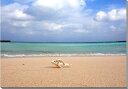 風景写真パネル 沖縄 波照間島 ニシ浜のエメラルドグリーンの海と巻貝 プレゼント ギフト 贈答品 返礼 お祝い 結婚 新築 引っ越し 誕生日 記念日 年祝い H...