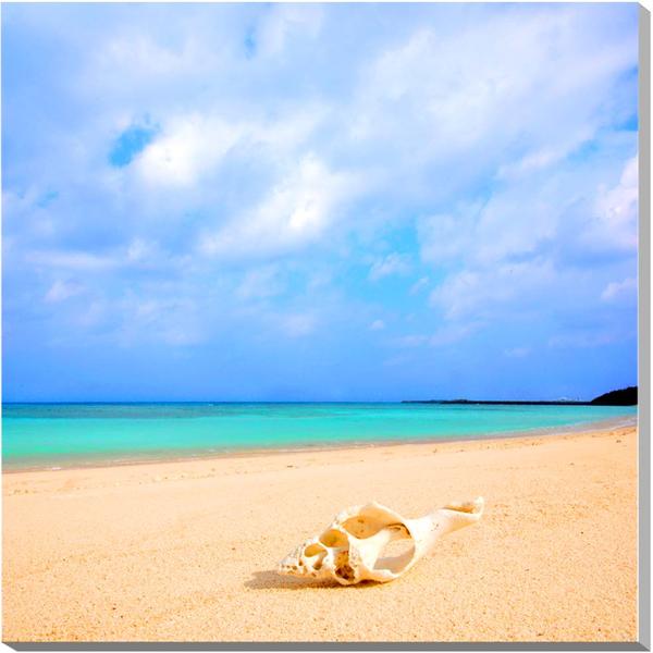 風景写真パネル 沖縄 波照間島 穏やかな海と巻貝 ニシ浜 プレゼント ギフト 贈答品 返礼 お祝い 結婚 新築 引っ越し 誕生日 記念日 年祝い 思い出 HT-...