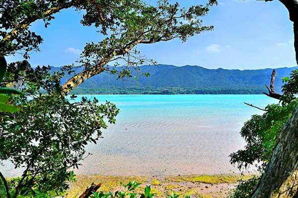 風景写真パネル 沖縄 石垣島 青い海と砂浜 おだやかな海と岩場 インテリア 壁掛け 壁飾り 模様替え 雰囲気作り 風水 リビング ダイニング オフィス 玄関 IG-006-M25