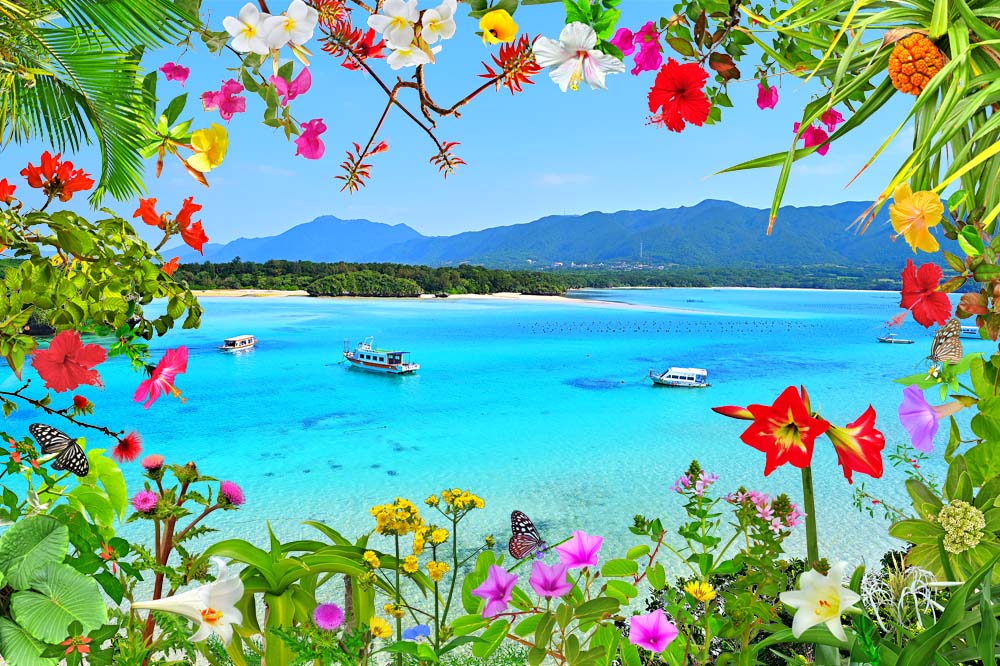 Wd春夏新作 沖縄 石垣島の花と植物 風景写真パネル 風景 写真 ギフト お祝い プレゼント ウォールデコ Ig 067 M30 受注発注カラー アート 美術品 骨董品 民芸品ホビー Insolite Guadeloupe Voyage Com Wd春夏新作 沖縄 石垣島の花と植物 風景写真パネル 風景 写真 ギフト お祝い プレゼント ウォールデコ Ig 067 M30 受注発注カラー アート 美術品 骨董品 民芸品ホビー Insolite Guadeloupe Voyage Com