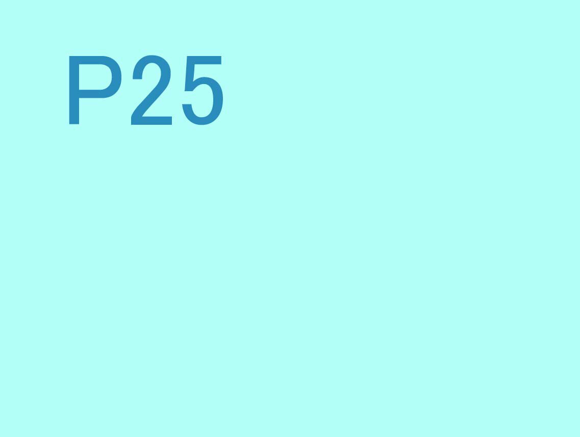 あなたの撮った写真をパネルにします! PNL-P25 格安パネル制作 オリジナル オーダーメイド インテリア ディスプレイ 壁掛け 壁飾り 模様替え 雰囲気作り...