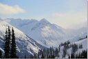 風景写真パネル 世界自然遺産 カナダ ウィスラーの雪山 大自然 解放感 癒やし おしゃれ ウォールデコ アートパネル ディスプレイ インテリア 壁飾り 壁掛け ...