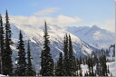風景写真パネル 世界自然遺産 カナダ ウィスラーの雪山 大自然 爽快感 解放感 癒やし アートパネル グラフィックアート インテリア プレゼント ギフト 贈答品 お祝い 結婚 新築 引っ越し 誕生日 記念日 AUR-37-M20