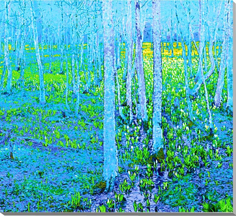 風景写真パネル 福島 土湯 仁田沼 (にだぬま) 水芭蕉 CG加工 ボタニカル ミズバショウ インテリア アートパネル パネル 写真 プレゼント ギフト お礼 ...