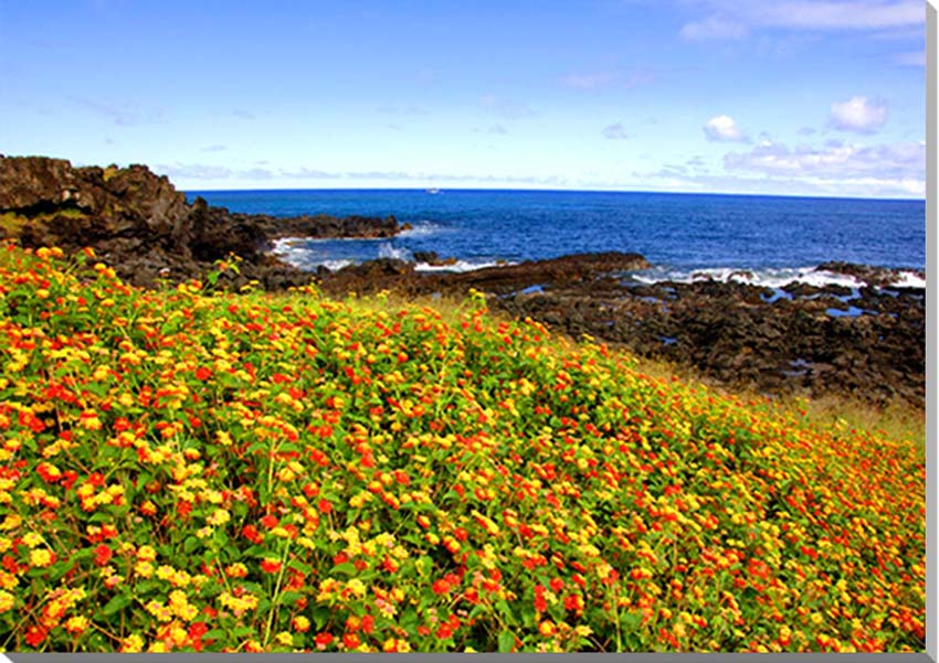 風景写真パネル 世界遺産 イースター島 海とランタナ アートパネル インテリア パネル 写真 ウォールデコ グラフィック プレゼント ギフト お祝い 結婚 新居...