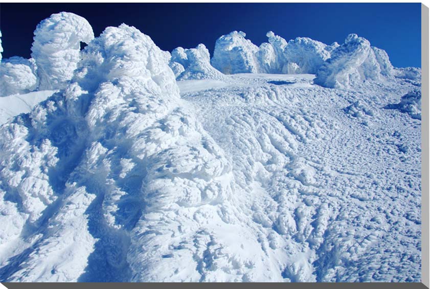 風景写真パネル 山形 蔵王 樹氷 スノーモンスター 極寒 絶景 大自然 アートパネル インテリア ウォールデコ グラフィックアート パネル 写真 プレゼント ギフト 贈答品 お礼 お祝い 結婚 新居 引っ越し 出産 誕生日 入学 卒業 成人 年祝い 記念日 MID-26-M25