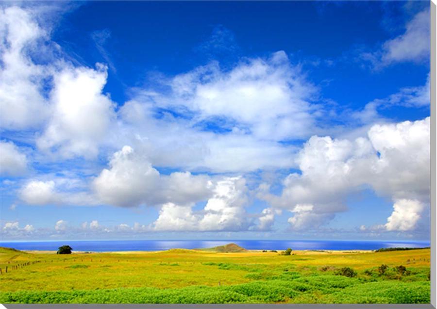 楽天写真パネルのあぁとすぺーすつくば風景写真パネル 世界遺産 イースター島 雲と海と草原 アートパネル インテリア 壁飾り 壁掛け 額要らず 模様替え 雰囲気作り 玄関 リビング オフィス ロビー プレゼント ギフト 贈答品 返礼 お祝い 結婚 新築 引っ越し 誕生日 記念日 年祝い 旅の思い出 EST-010-P50