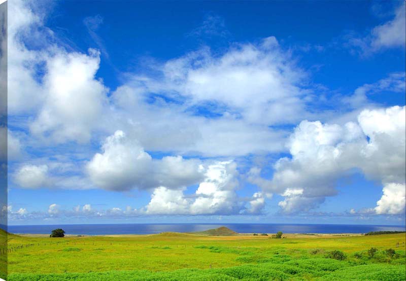 風景写真パネル 世界遺産 イースター島 空と海と草原 側面画像あり インテリア ウォールデコ グラフィック パネル 写真 模様替え 雰囲気作り 風水 オフィス リビング プレゼント お祝い 結婚 新居 出産 誕生日 入学 卒業 成人式 就職 記念日 EST-059-B2skm